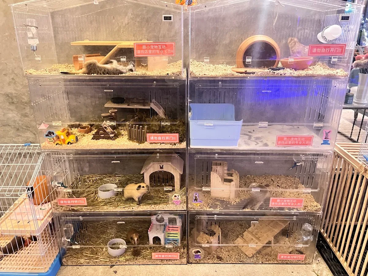 L-Seven Café (Sukhumvit Soi 4)